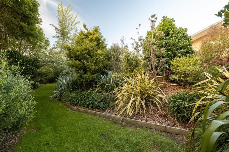 Photo of property in 7b Ridge View Place, Waihi, 3610