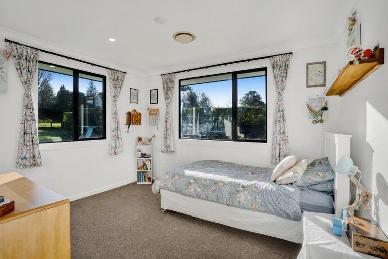 Photo of property in 13 Biron Place, Stratford, 4332