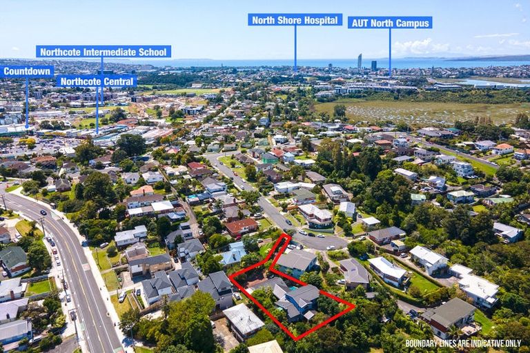 Photo of property in 19 Dudding Avenue, Northcote, Auckland, 0627