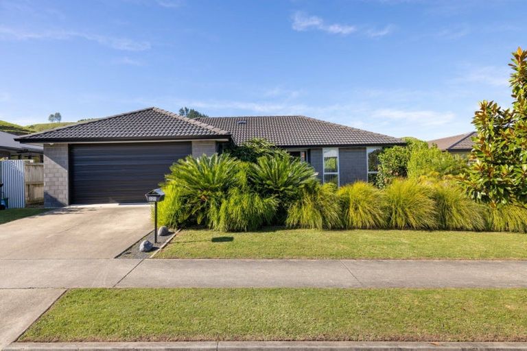 Photo of property in 224 Ballintoy Park Drive, Welcome Bay, Tauranga, 3175