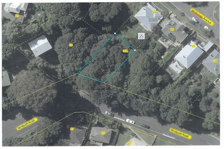 Photo of property in 20a Mcgeorge Avenue, Mornington, Dunedin, 9011