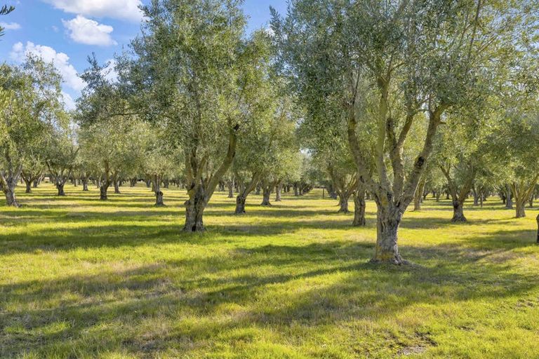 Photo of property in 327 Georges Road, Glasnevin, Amberley, 7482