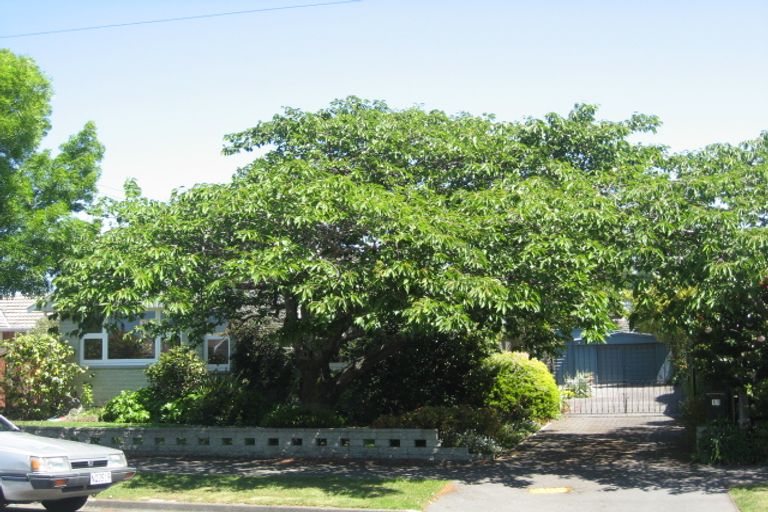 Photo of property in 11 Hornsby Street, Bishopdale, Christchurch, 8053