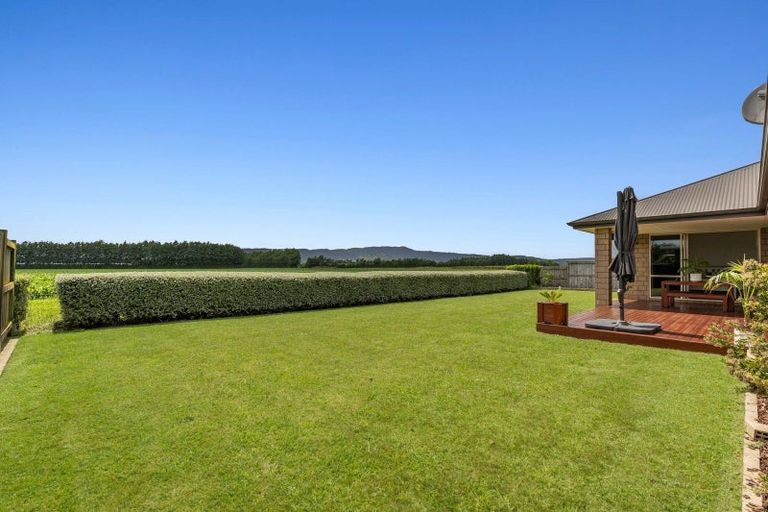 Photo of property in 17 Awanui Place, Matamata, 3400