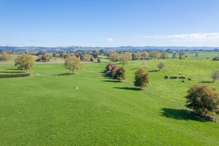 Photo of property in 103 Jury Road, Ngahinapouri, Hamilton, 3290