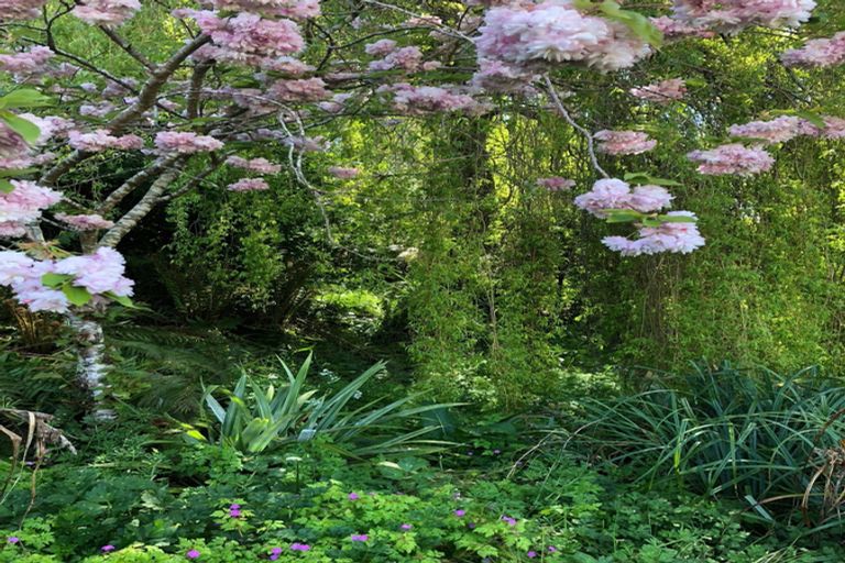 Photo of property in 44 Manchester Street, Bradford, Dunedin, 9011