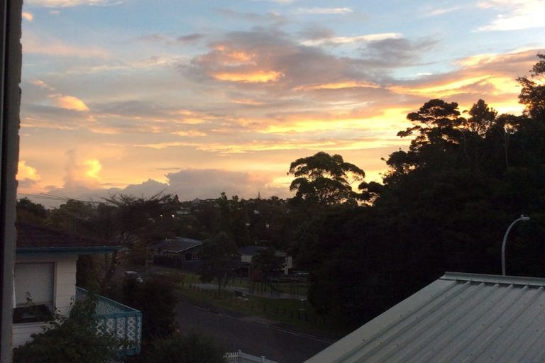 Photo of property in 17 Sapphire Place, Bayview, Auckland, 0629