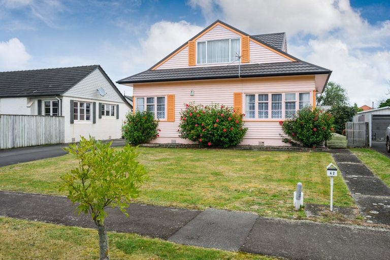 Photo of property in 42 Ihle Street, Terrace End, Palmerston North, 4410