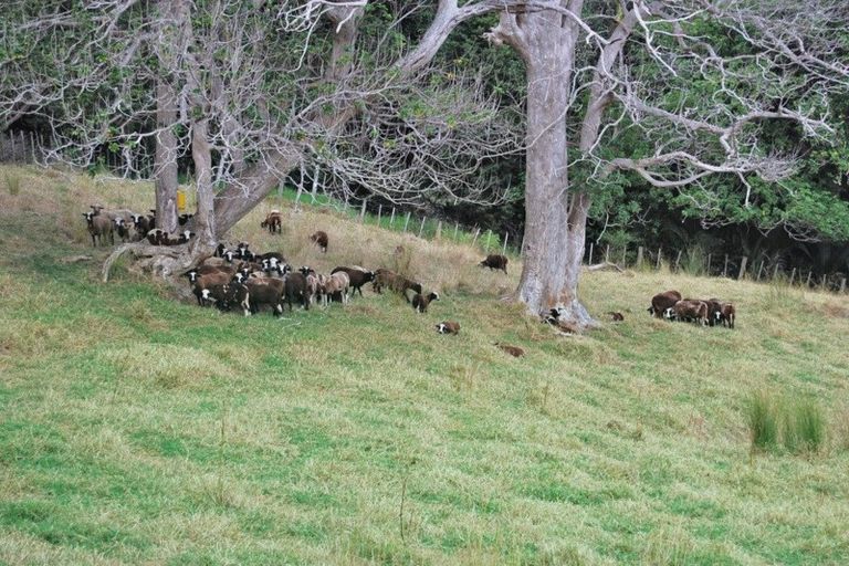 Photo of property in 76 Spindler Road, Wellsford, 0972