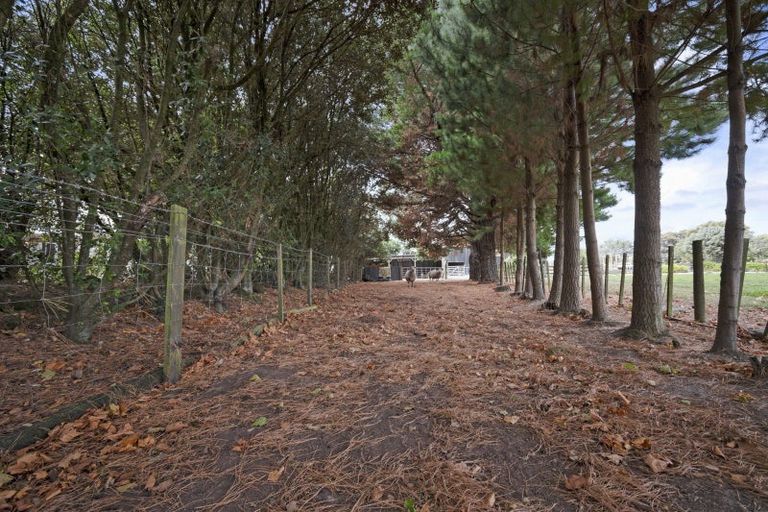 Photo of property in 65a Tangimoana Road, Ohakea, Palmerston North, 4479