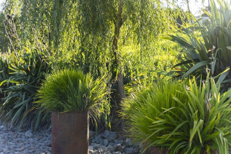 Photo of property in 45b Finlayson Road, Matarau, Kamo, 0176