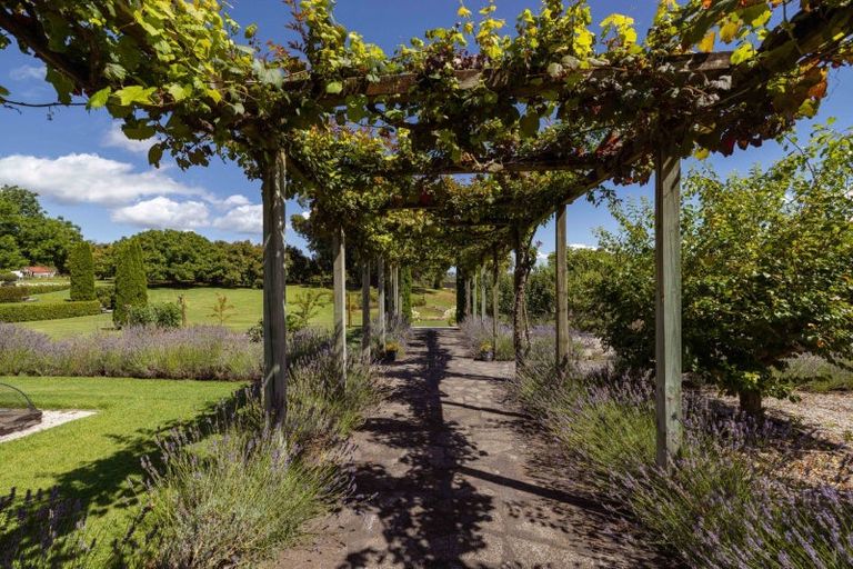 Photo of property in 323 Plummers Point Road, Whakamarama, Tauranga, 3172