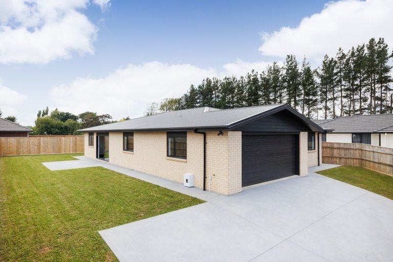 Photo of property in 53 Hereford Street, Marton, 4710