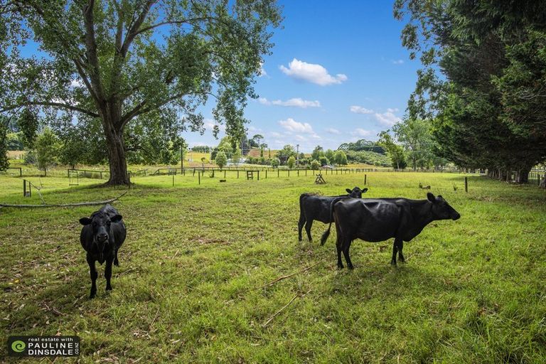 Photo of property in 68 Loop Road, Otaika, Whangarei, 0170