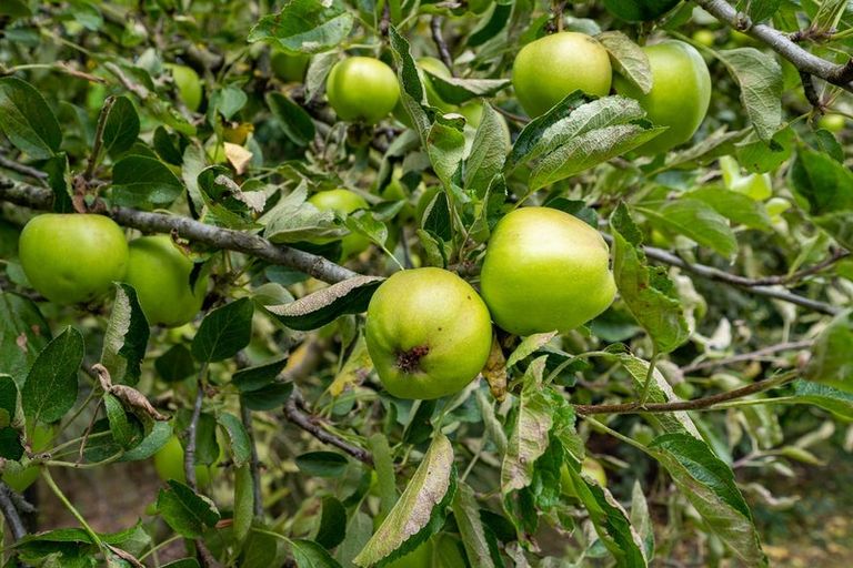 Photo of property in 28 Grove Avenue, Weston, Oamaru, 9401