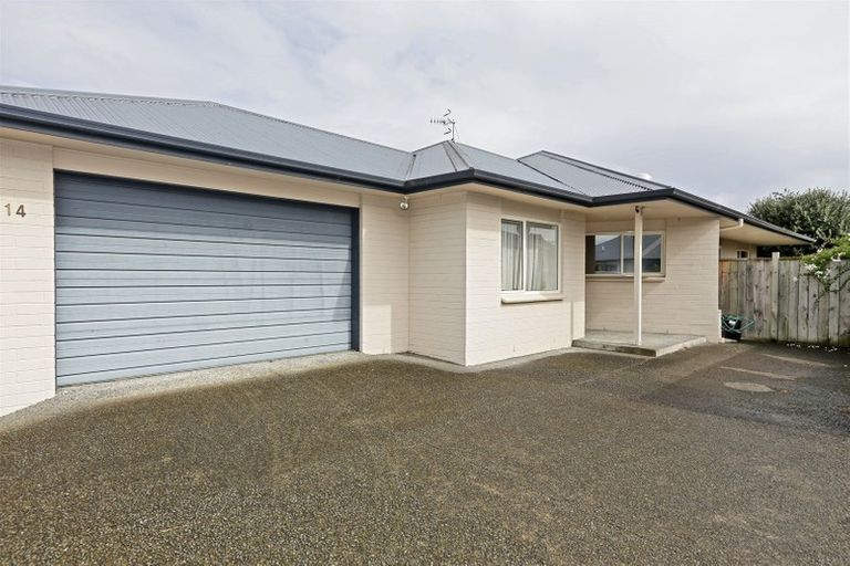 Photo of property in 114 Allerton Street, Saint Leonards, Hastings, 4120