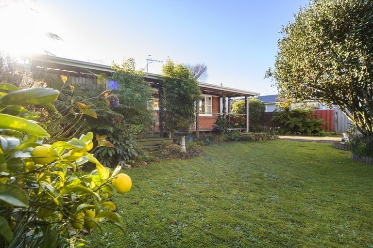 Photo of property in 8 Conway Place, Terrace End, Palmerston North, 4410