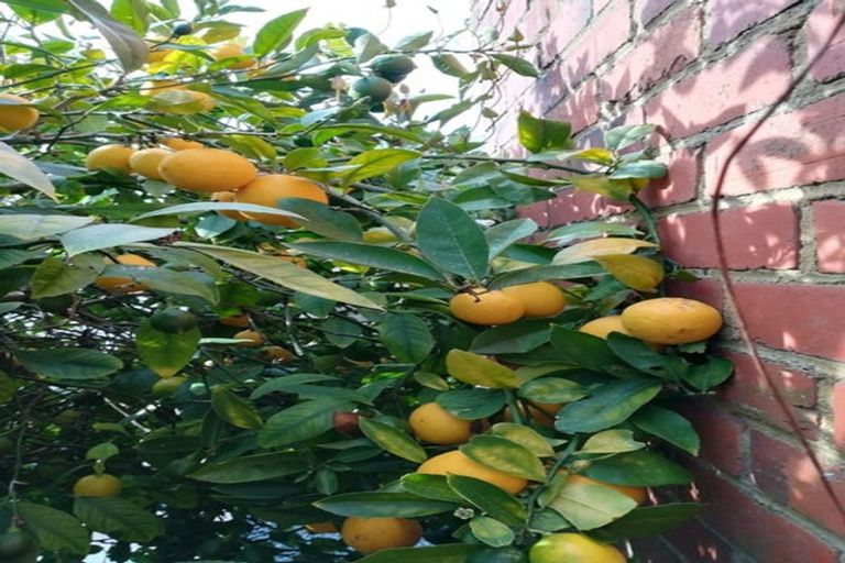 Photo of property in 25 Malvern Street, Woodhaugh, Dunedin, 9010