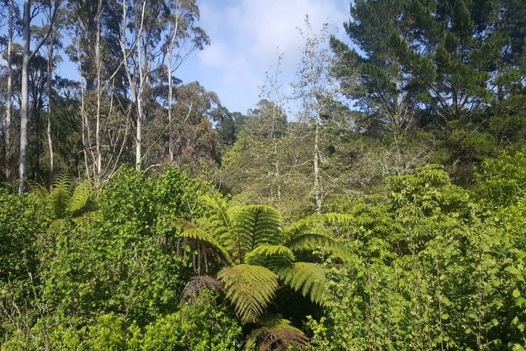 Photo of property in 185 Tahekeroa Road, Tahekeroa, Kaukapakapa, 0873