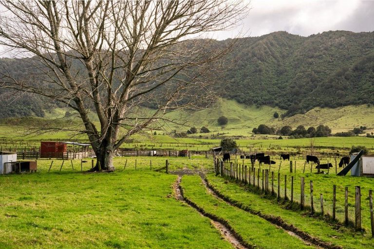 Photo of property in 200a Moanui Road, Matawai, 4075