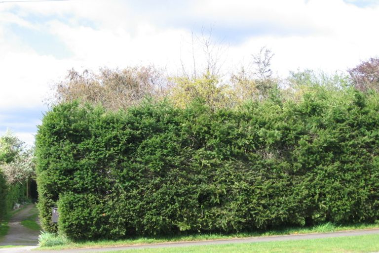 Photo of property in 199 Taharepa Road, Tauhara, Taupo, 3330