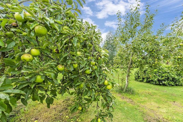 Photo of property in 39 Dawn Place, Kirwee, Darfield, 7571