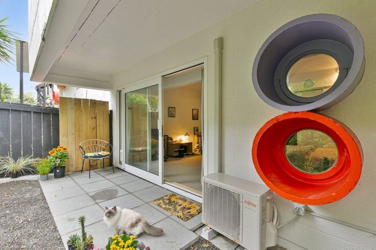 Photo of property in Park Mews, 5/62 Moxham Avenue, Hataitai, Wellington, 6021