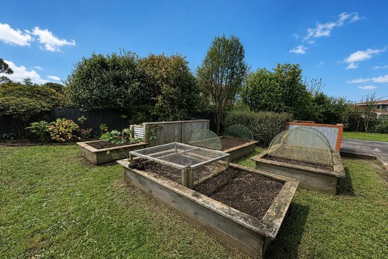Photo of property in 6 Tybalt Street, Stratford, 4332