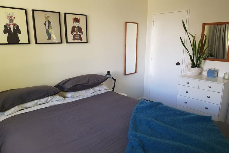 Photo of property in 45a Hibiscus Avenue, Hamilton Lake, Hamilton, 3204