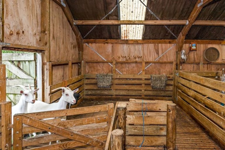 Photo of property in 57 Krippner Road, Puhoi, Warkworth, 0994