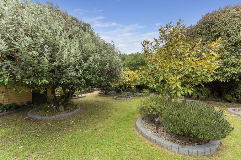 Photo of property in 15 Rainforth Street, Roslyn, Palmerston North, 4414