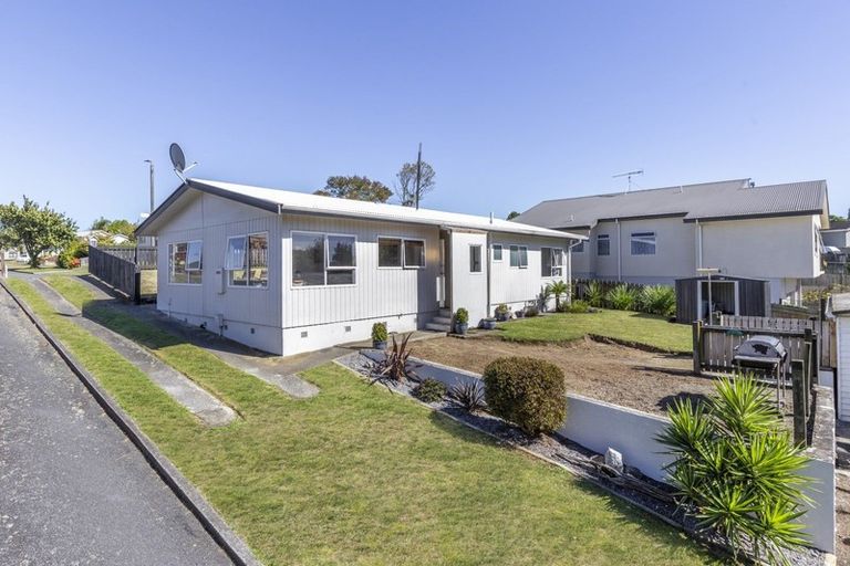 Photo of property in 65 Woodward Street, Nukuhau, Taupo, 3330