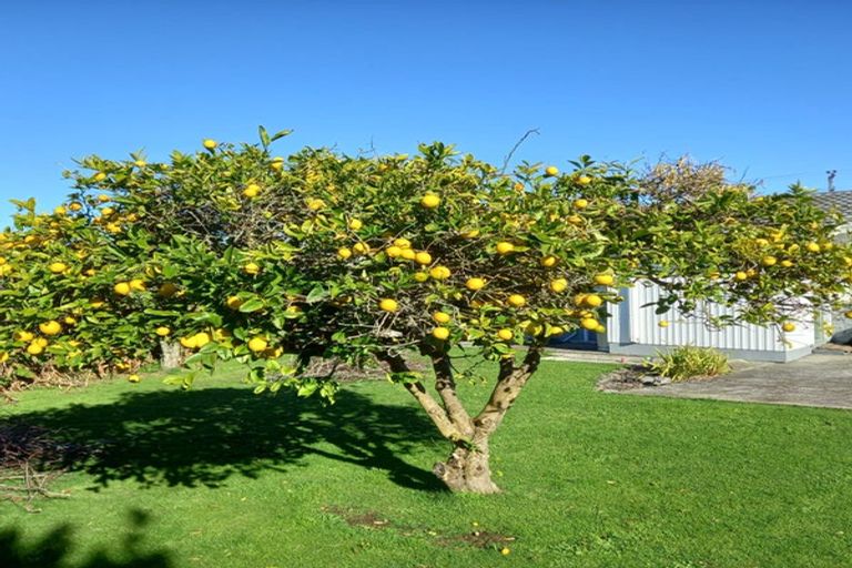 Photo of property in 36 Springvale Road, Springvale, Whanganui, 4501