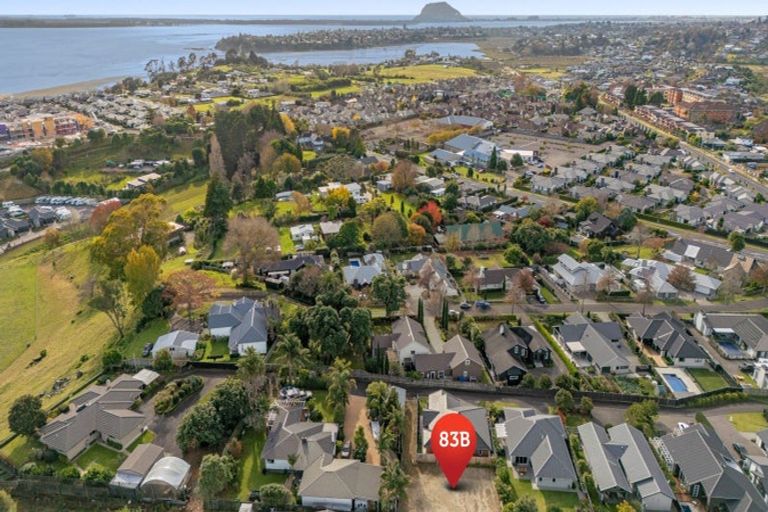 Photo of property in 83b Carmichael Road, Bethlehem, Tauranga, 3110