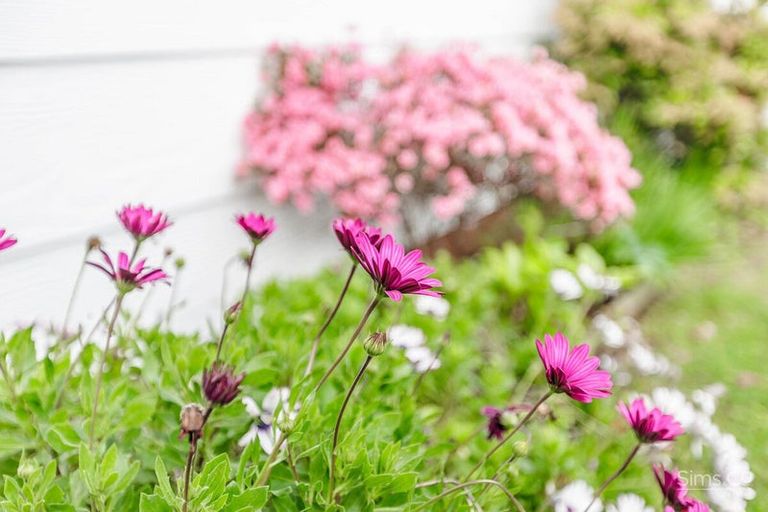 Photo of property in 38 Tinirau Street, Whanganui East, Wanganui, 4500