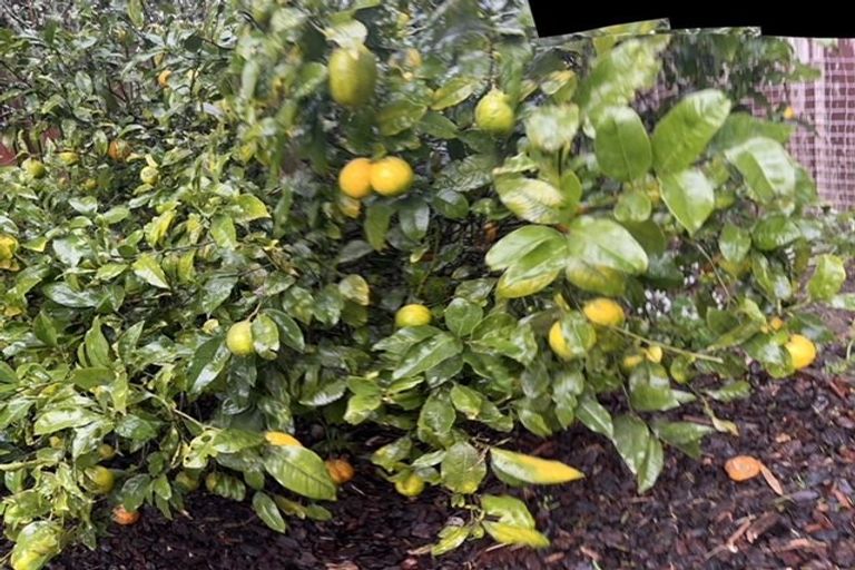 Photo of property in 8a Copeland Street, Hutt Central, Lower Hutt, 5011