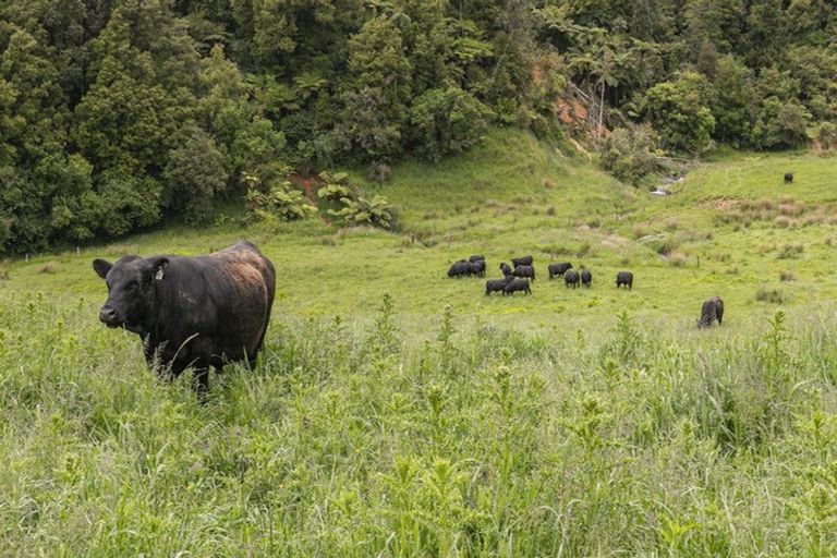 Photo of property in 795 Matahuru Road, Waiterimu, 3784