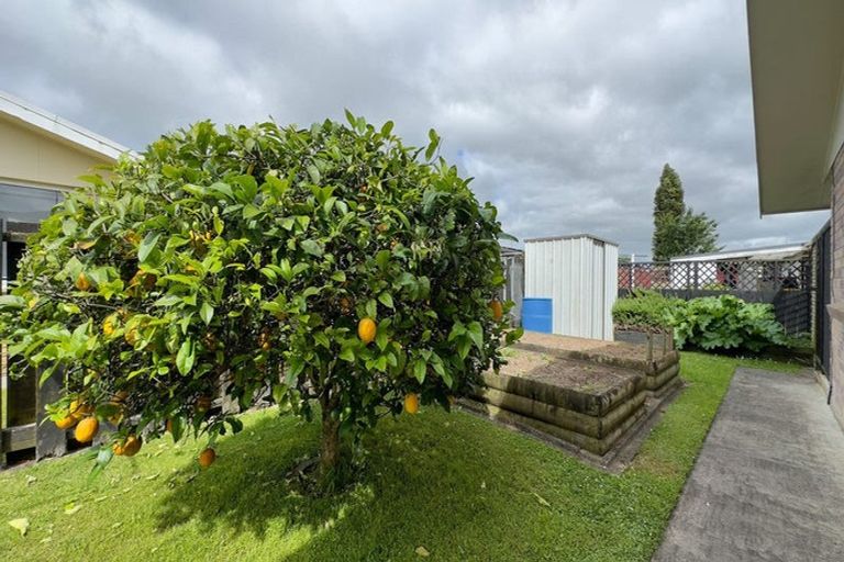 Photo of property in 20 Central Street, Matamata, 3400