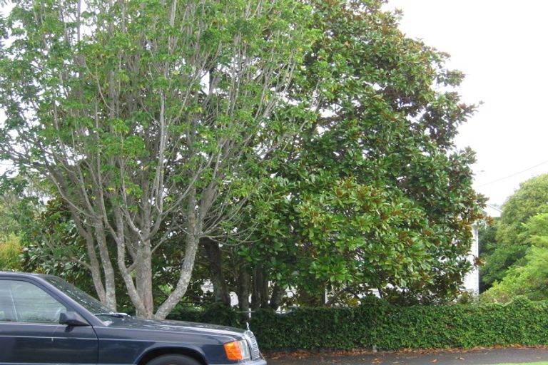 Photo of property in 29a Glen Road, Stanley Point, Auckland, 0624