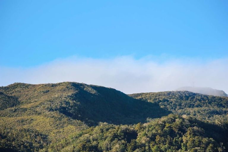 Photo of property in 2/99 Powerhouse Road, Fairdown, Westport, 7891