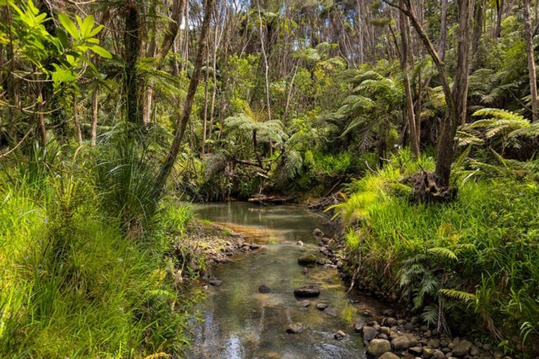 Photo of property in 19-21 Mountain Road, Henderson Valley, Auckland, 0612