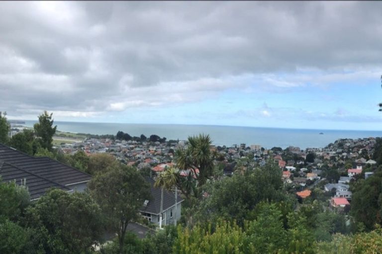 Photo of property in 12a Coney Hill Road, Saint Clair, Dunedin, 9012