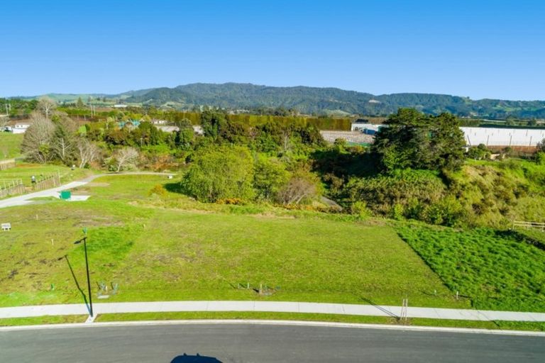 Photo of property in 71 Tynan Street, Te Puke, 3119