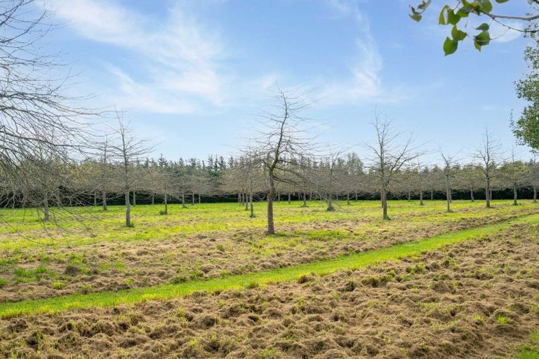 Photo of property in 213 Te Whiti Road, Homebush, Masterton, 5885