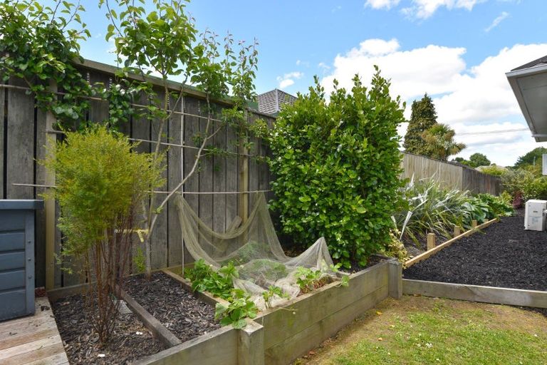Photo of property in 11 Puriri Crescent, Hillcrest, Rotorua, 3015