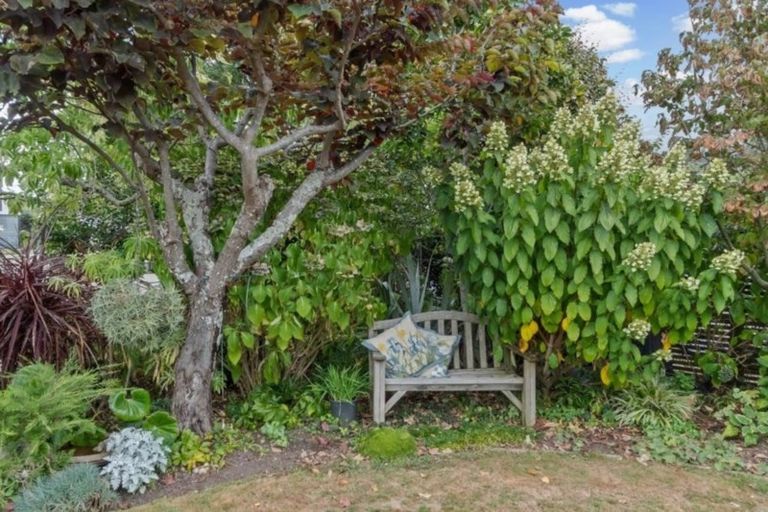 Photo of property in 74 Delamare Road, St Andrews, Hamilton, 3200