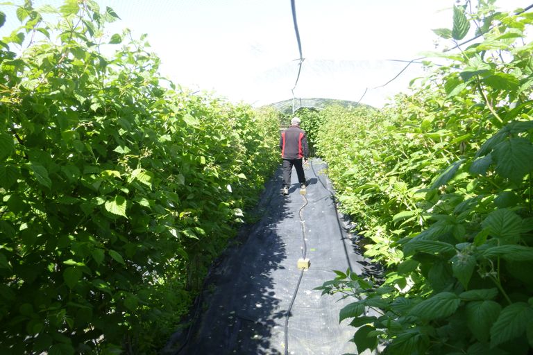 Photo of property in 7 Opuha Street East, Orari, Geraldine, 7992