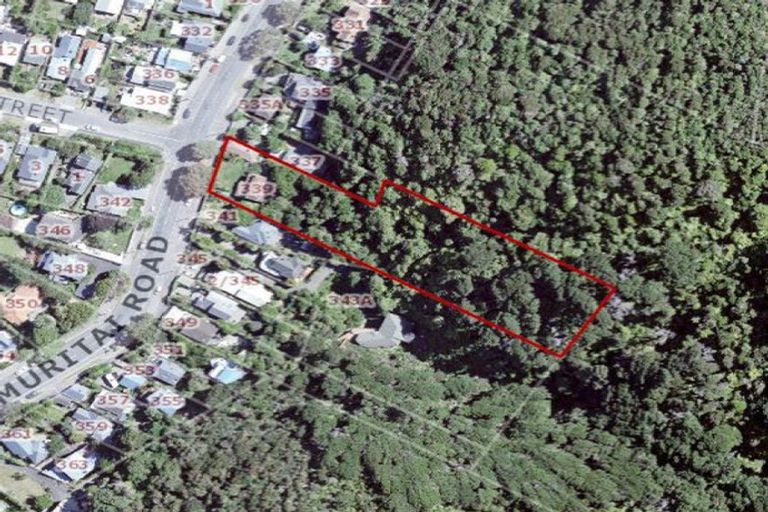 Photo of property in 339 Muritai Road, Eastbourne, Lower Hutt, 5013