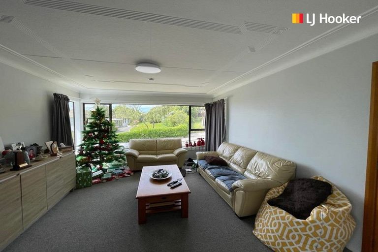 Photo of property in 66 Hawthorn Avenue, Mornington, Dunedin, 9011
