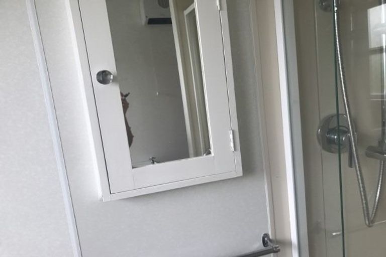 Photo of property in 343 Ruahine Street, Terrace End, Palmerston North, 4410